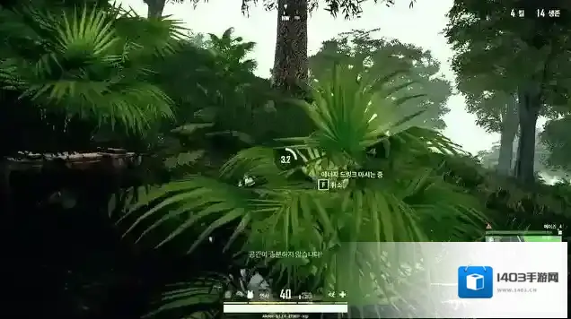 绝地求生玩家