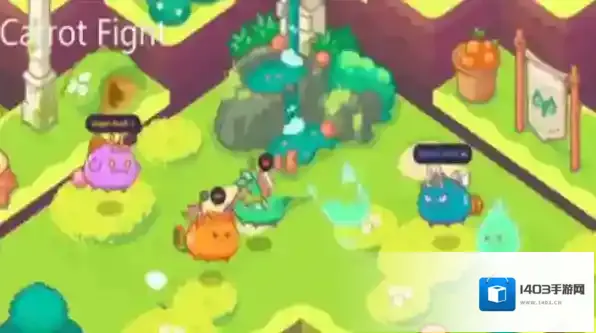 胡萝卜大作战玩家