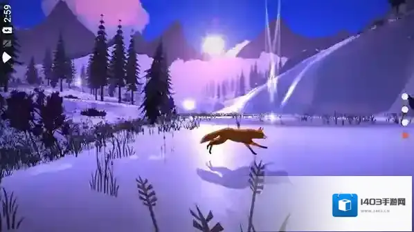 the first tree星星