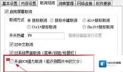 有道词典选项