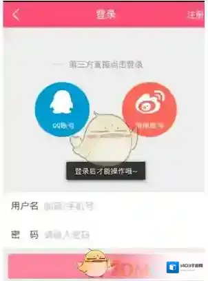 柚子街打开软件