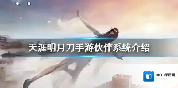天涯明月刀伙伴