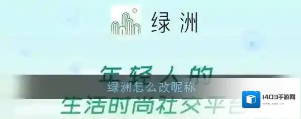 新浪绿洲点击
