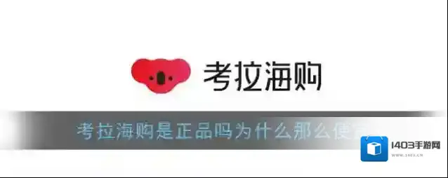 网易考拉海购正品