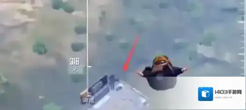 和平精英就可以