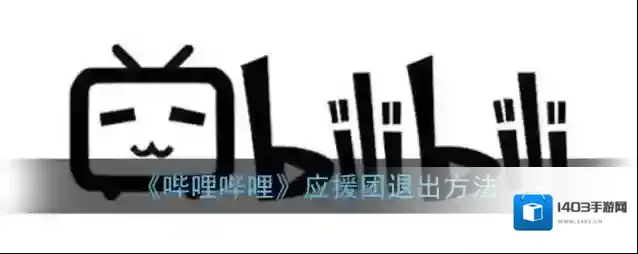 哔哩哔哩应援团