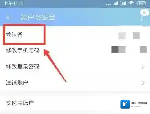 淘宝网淘宝旺旺名