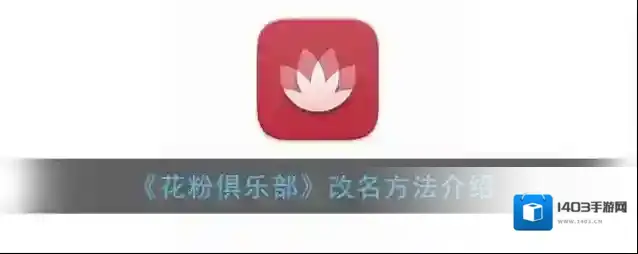 花粉俱乐部昵称