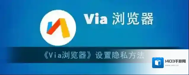Via浏览器设置