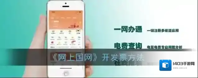 网上国网点一下