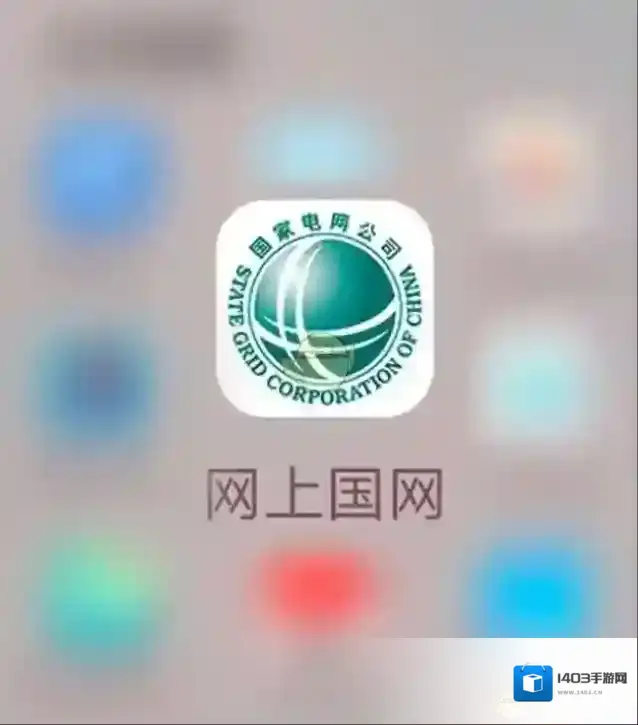 网上国网可能是