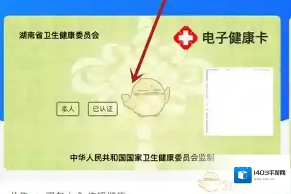 支付宝电子健康码