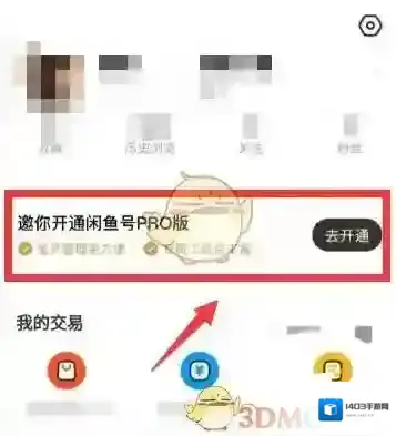 闲鱼资料