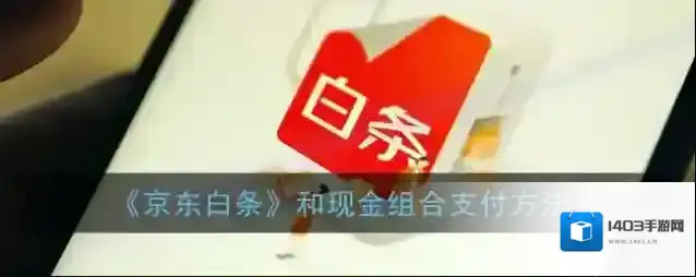 京东白条点击