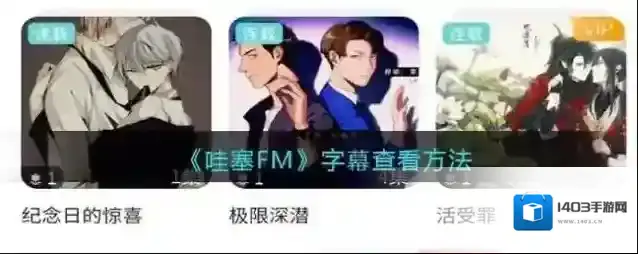 《哇塞FM》字幕查看方法