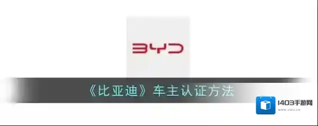 特斯拉车主