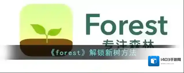 Forest金币