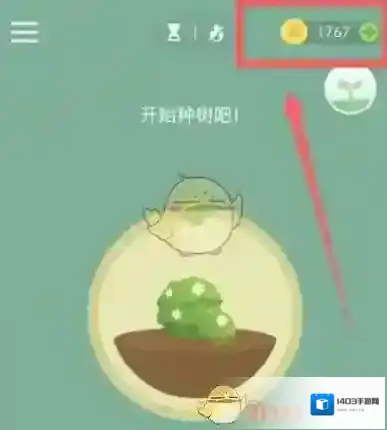 Forest专注森林