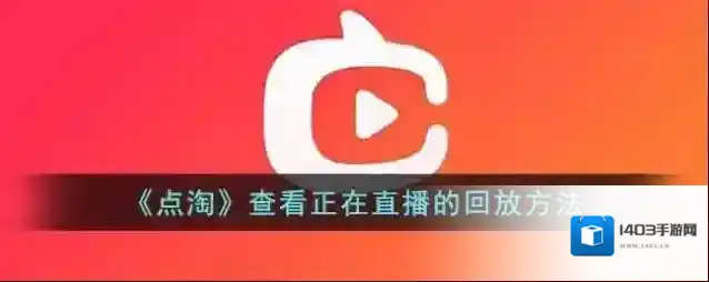 点淘回放