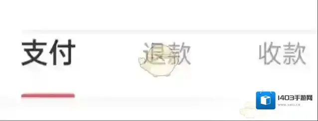 转转我的账单