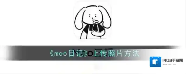 Moo日记点击