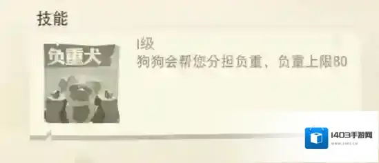 边境之旅精力