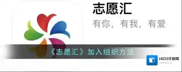 志愿汇组织