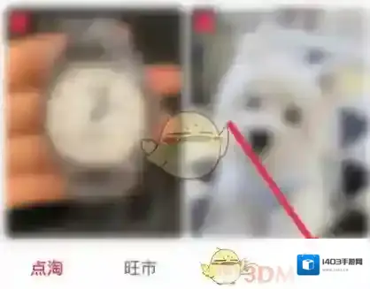 点淘的我