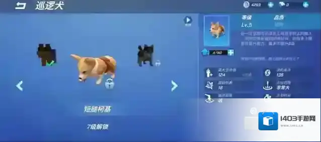 逃跑吧少年巡逻犬特点技巧