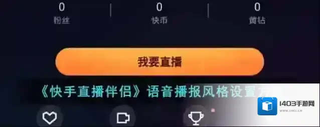 快手直播伴侣选项