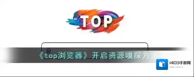 Top浏览器资源嗅探