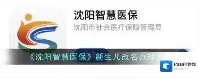 沈阳人普智慧医保