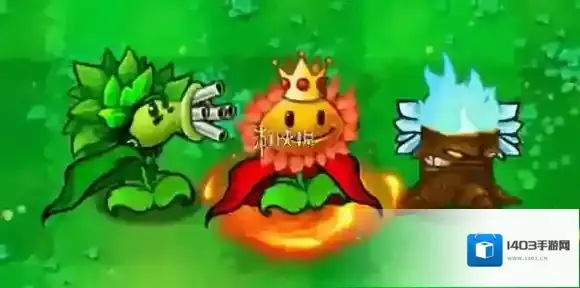 植物大战僵尸杂交版版本
