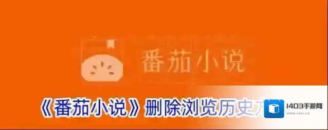 番茄小说浏览历史