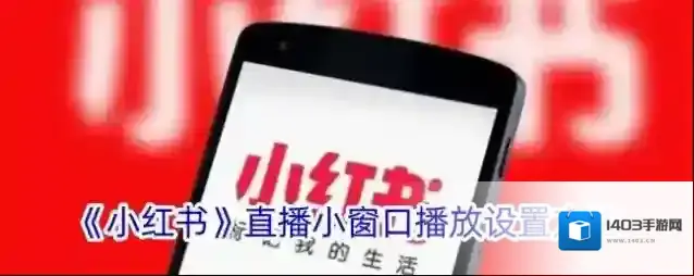 小红书小窗口